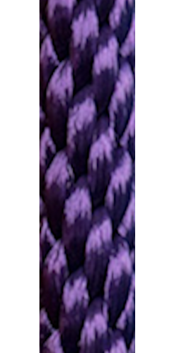 spiralbraid_purple